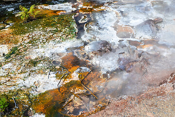 Image showing volcanic activities at waimangu