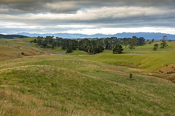 Image showing typical rural landscape in New Zealand