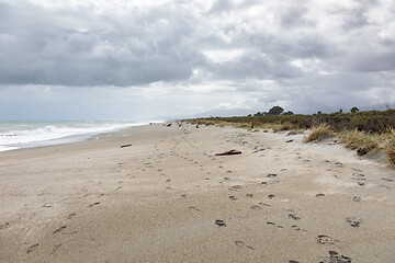 Image showing sand beach south west New Zealand