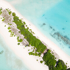 Image showing Picture perfect beach and turquoise lagoon on small tropical island on Maldives