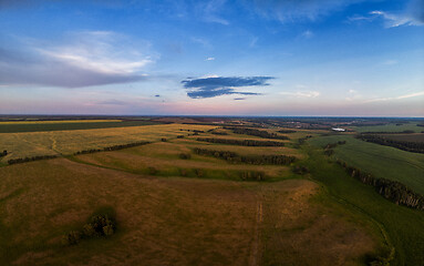 Image showing Top aerial view of green fields and meadows