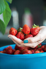 Image showing Ripe delicious strawberries