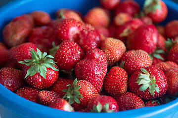 Image showing Ripe delicious strawberries
