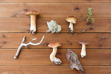 Image showing boletus mushrooms, moss, branch and bark on wood