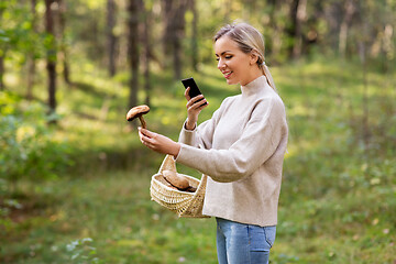 Image showing woman using smartphone to identify mushroom