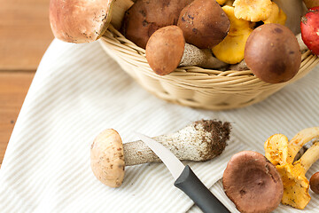 Image showing basket of different edible mushrooms and knife