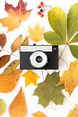 Image showing film camera and autumn leaves on white background