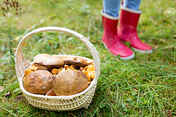 Image showing basket of mushrooms and feet in gumboots in forest