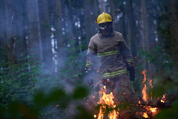 Image showing firefighter in action