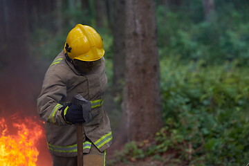 Image showing firefighter in action