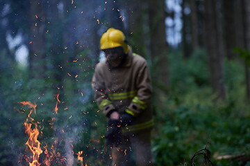 Image showing firefighter in action