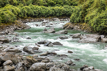 Image showing Haast River Landsborough Valley New Zealand