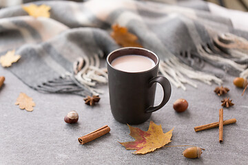 Image showing hot chocolate, autumn leaves and warm blanket