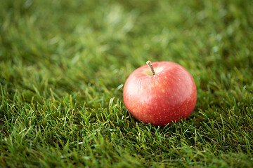 Image showing close up of ripe red apple on artificial grass