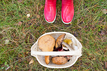 Image showing basket of mushrooms and feet in gumboots in forest