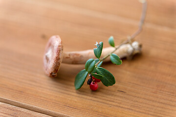 Image showing cowberry and lactarius rufus mushroom on wood