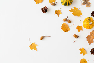 Image showing autumn leaves, chestnuts, acorns and pumpkins