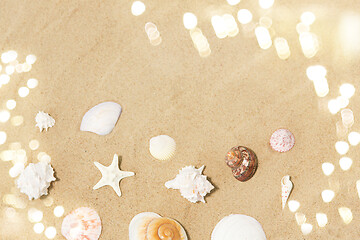 Image showing seashells on beach sand