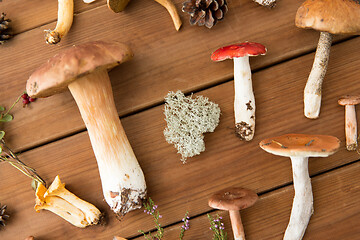 Image showing different edible mushrooms on wooden background