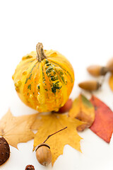 Image showing close up of pumpkin, acorns and autumn leaves