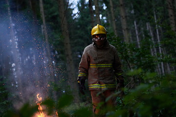 Image showing firefighter in action