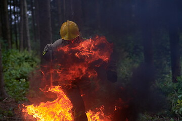 Image showing firefighter in action