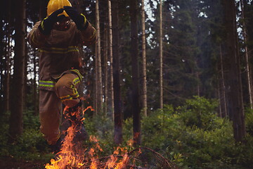 Image showing firefighter in action