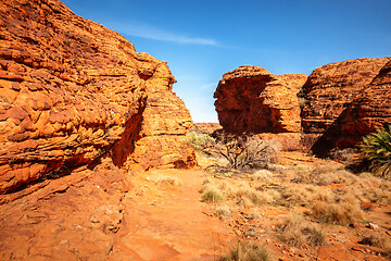 Image showing Kings Canyon in center Australia