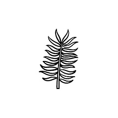 Image showing Leaves of palm tree hand drawn sketch icon.