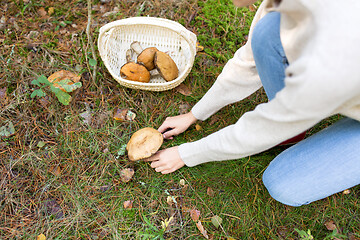 Image showing woman picking mushrooms in autumn forest