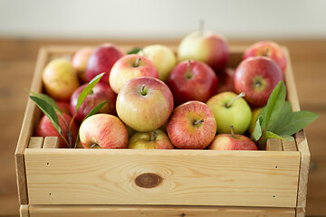 Image showing ripe apples in wooden box on table