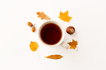 Image showing cup of tea, autumn leaves, acorns and chestnut