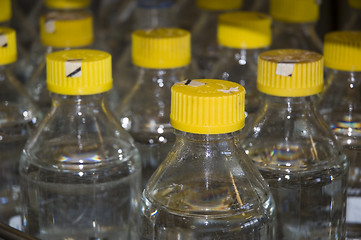 Image showing Bottles