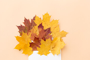 Image showing autumn maple leaves with envelope on beige