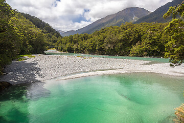 Image showing Haast River Landsborough Valley New Zealand