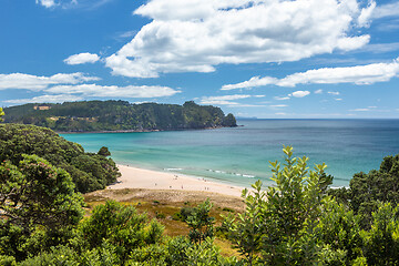 Image showing hot springs beach New Zealand Coromandel