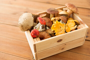 Image showing wooden box of different edible mushrooms