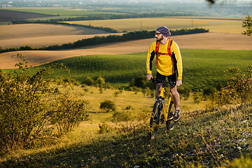 Image showing Young cyclist on a rural road through green spring meadow