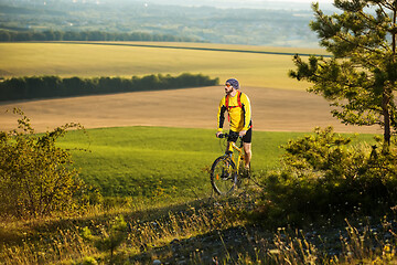 Image showing Young cyclist on a rural road through green spring meadow