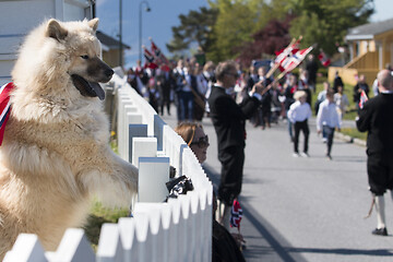 Image showing Norwegian Constitution Day