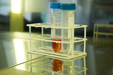 Image showing Test tubes in biotech