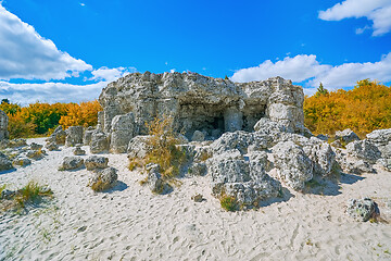 Image showing The Stone Desert