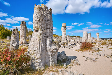 Image showing The Stone Desert