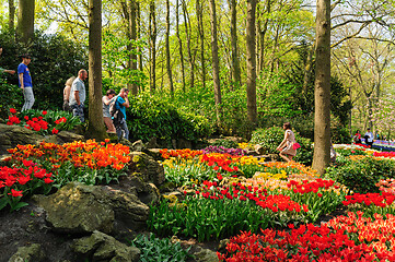 Image showing Flower beds of Keukenhof Gardens in Lisse, Netherlands