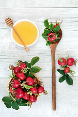 Image showing Rosehip and Honey Herbal Remedy