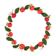 Image showing Immune Boosting Abstract Rosehip Wreath 