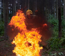 Image showing firefighter in action