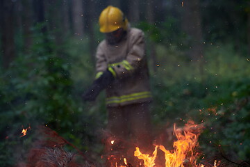 Image showing firefighter in action