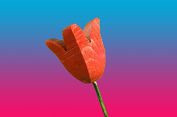 Image showing Wooden Tulip