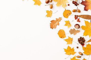 Image showing dry autumn leaves, rowanberries and pine cones